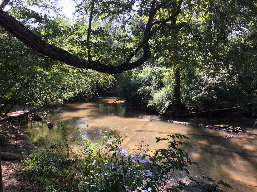 Sam Pitts Park-Clarkesville必去景点