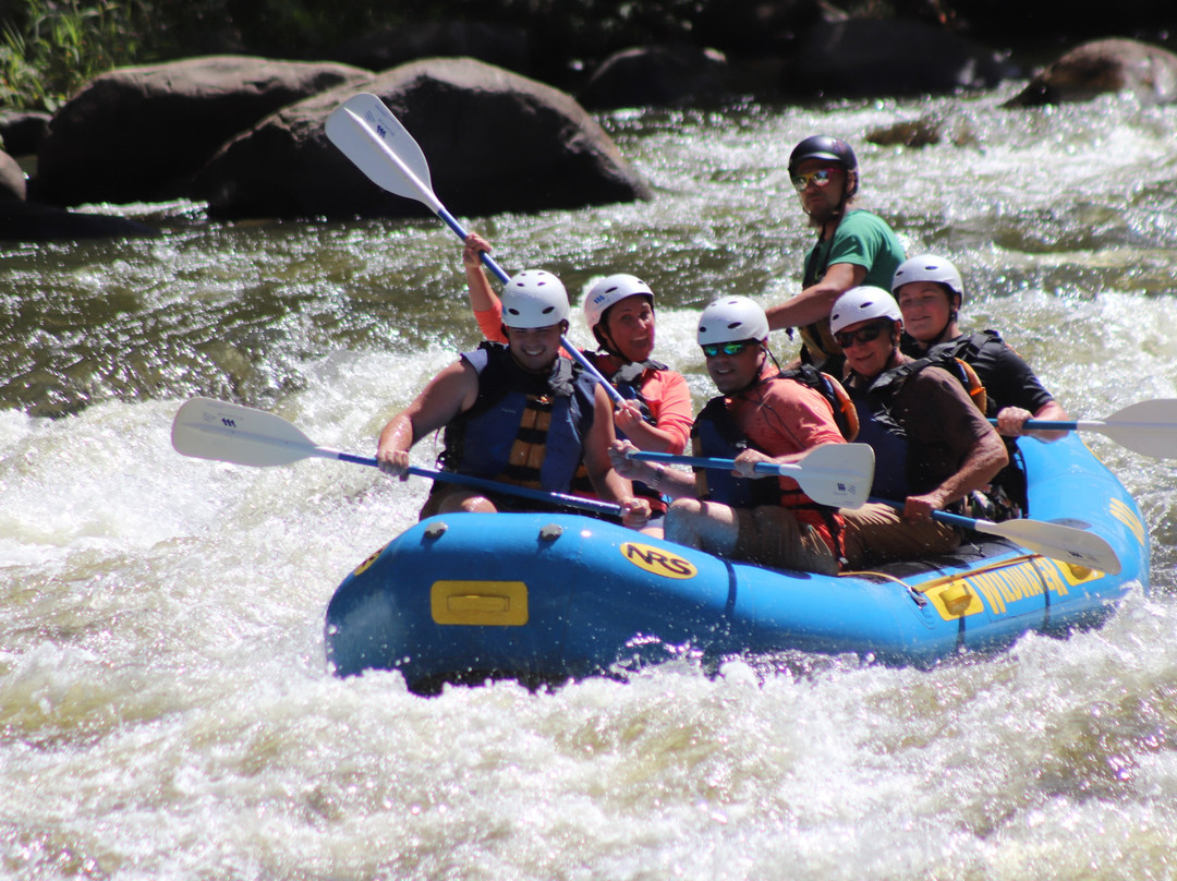 Wildwater Rafting - Pigeon-Hartford必去景点