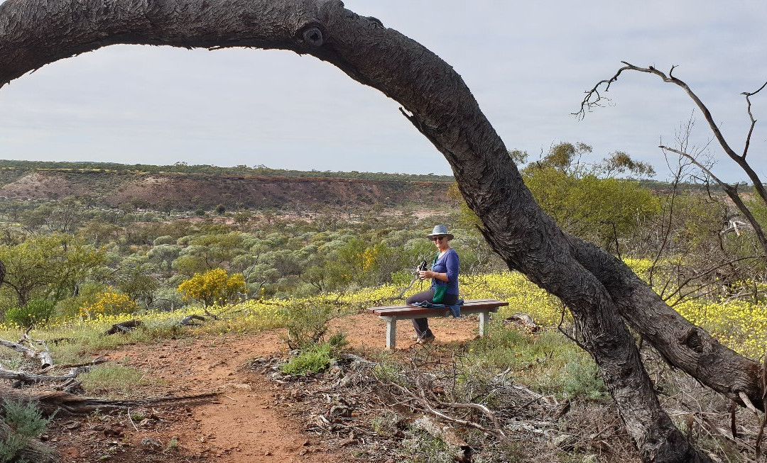 Coalseam Conservation Park-Mingenew必去景点