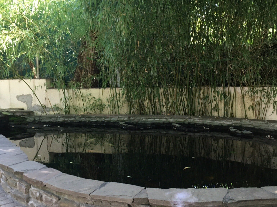 Lastochkino Gnezdo主图