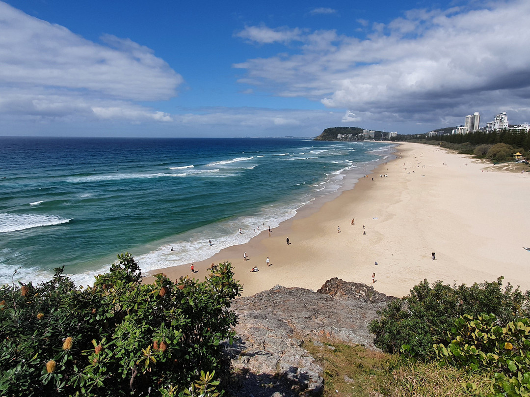 Mick Schamburg Park Lookout