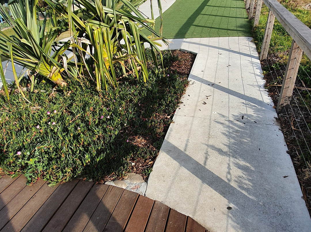 Lores Bonney Lookout