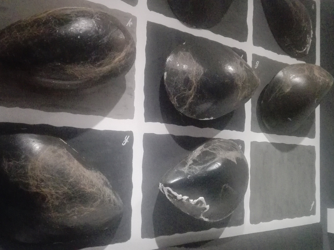 B&B Antichi Colori主图