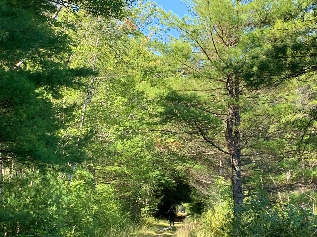 Cheshire Recreational Rail Trail景点图片