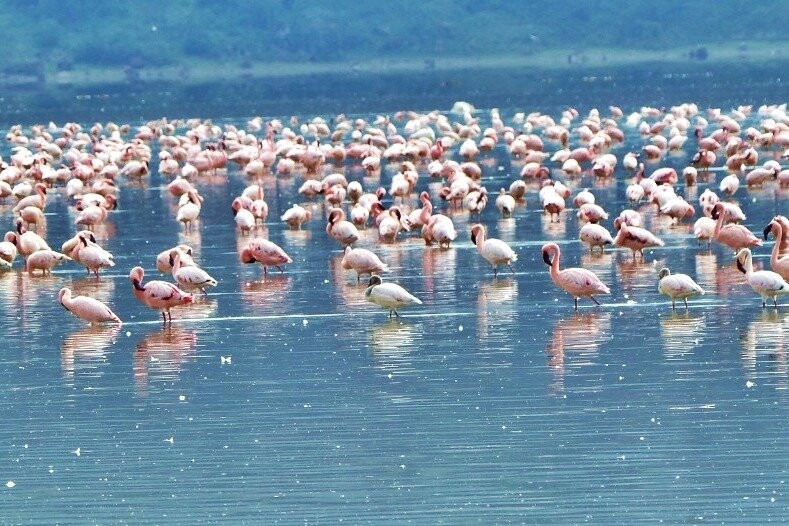 Cormorant Tours & Travel景点图片
