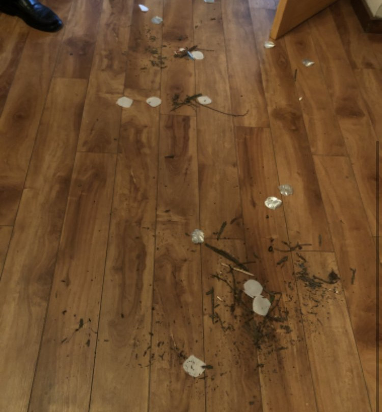 Auberge Alpine Inn主图