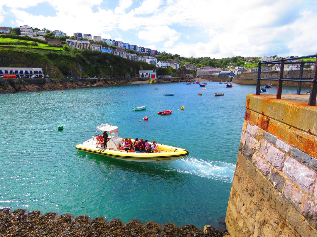 Mevagissey Rib Rides-梅瓦吉西必去景点