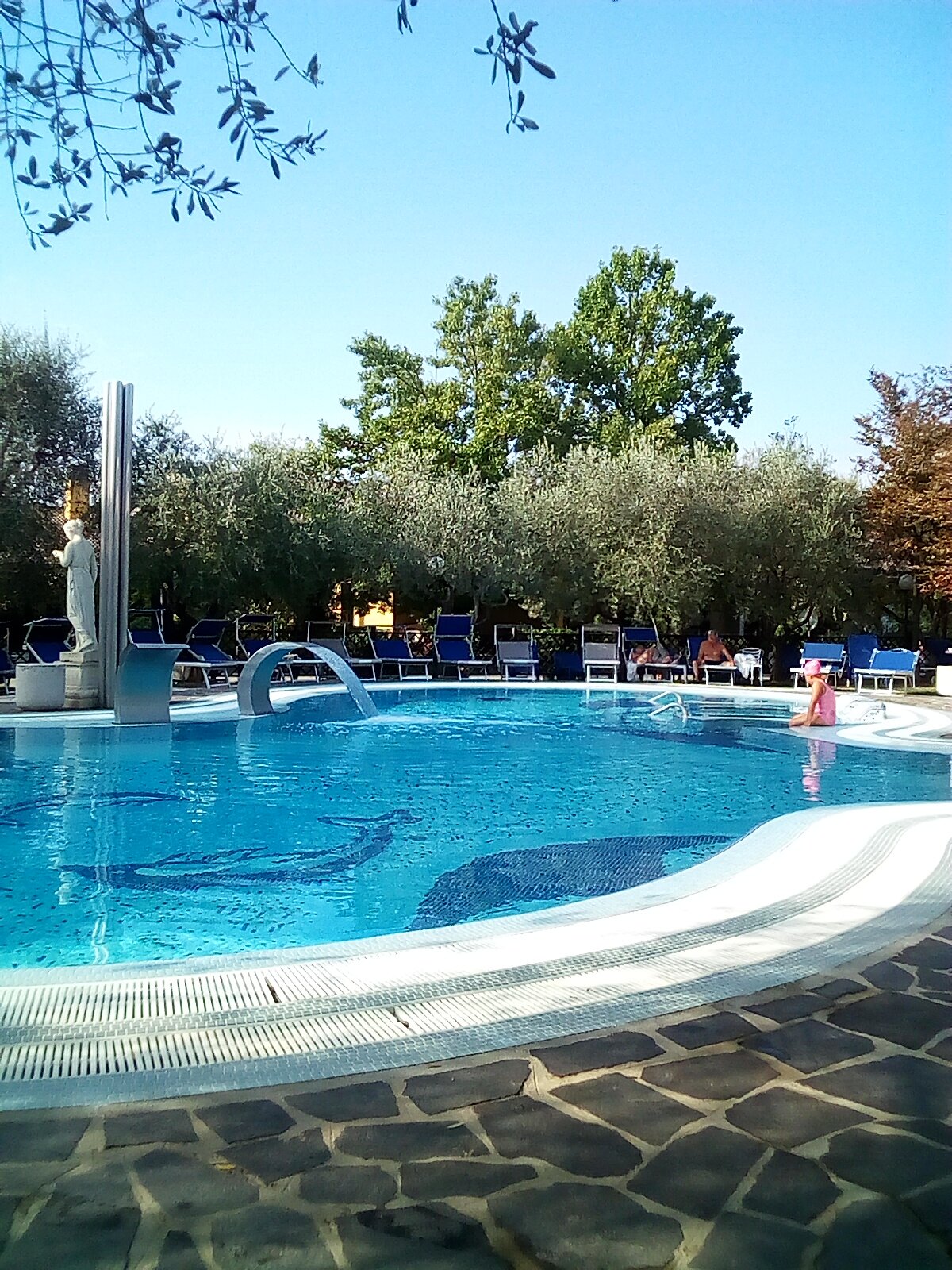 Hotel Petrarca-泳池
