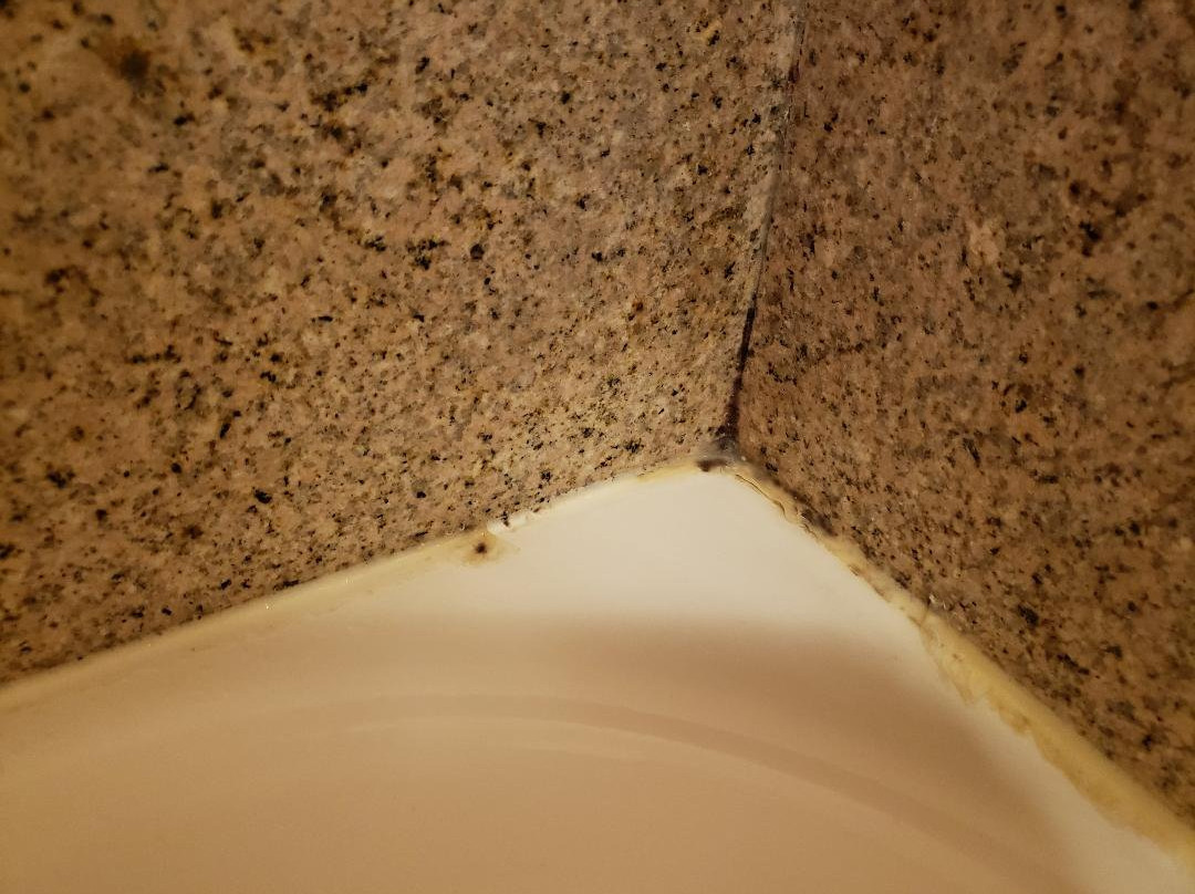 Spark By Hilton Brandon主图