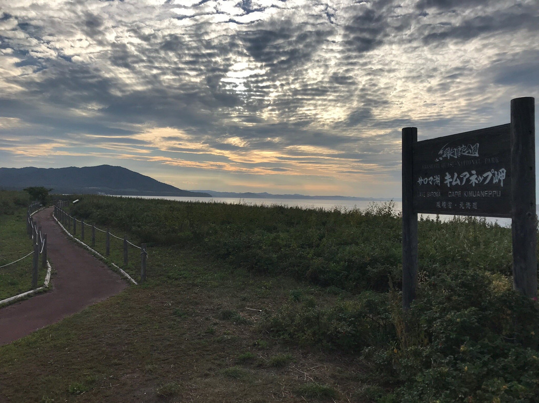 Cape Kimuaneppu景点图片