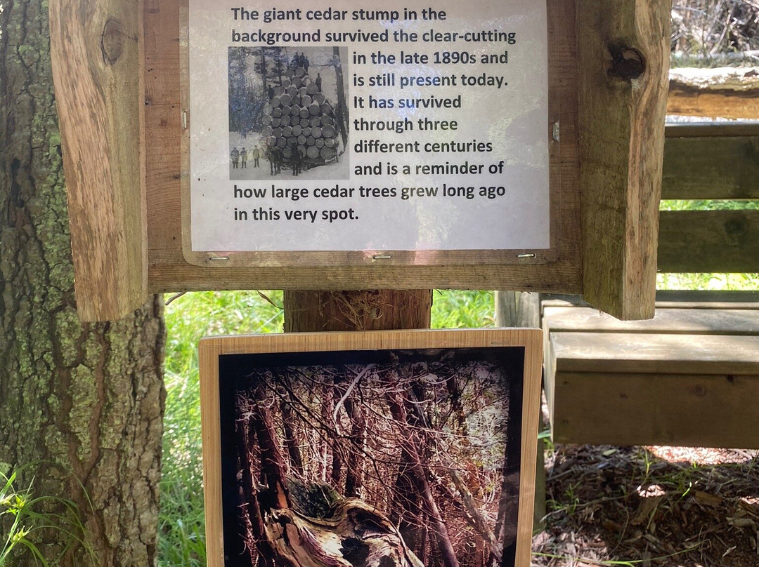 Thorne Swift Nature Preserve-Harbor Springs必去景点