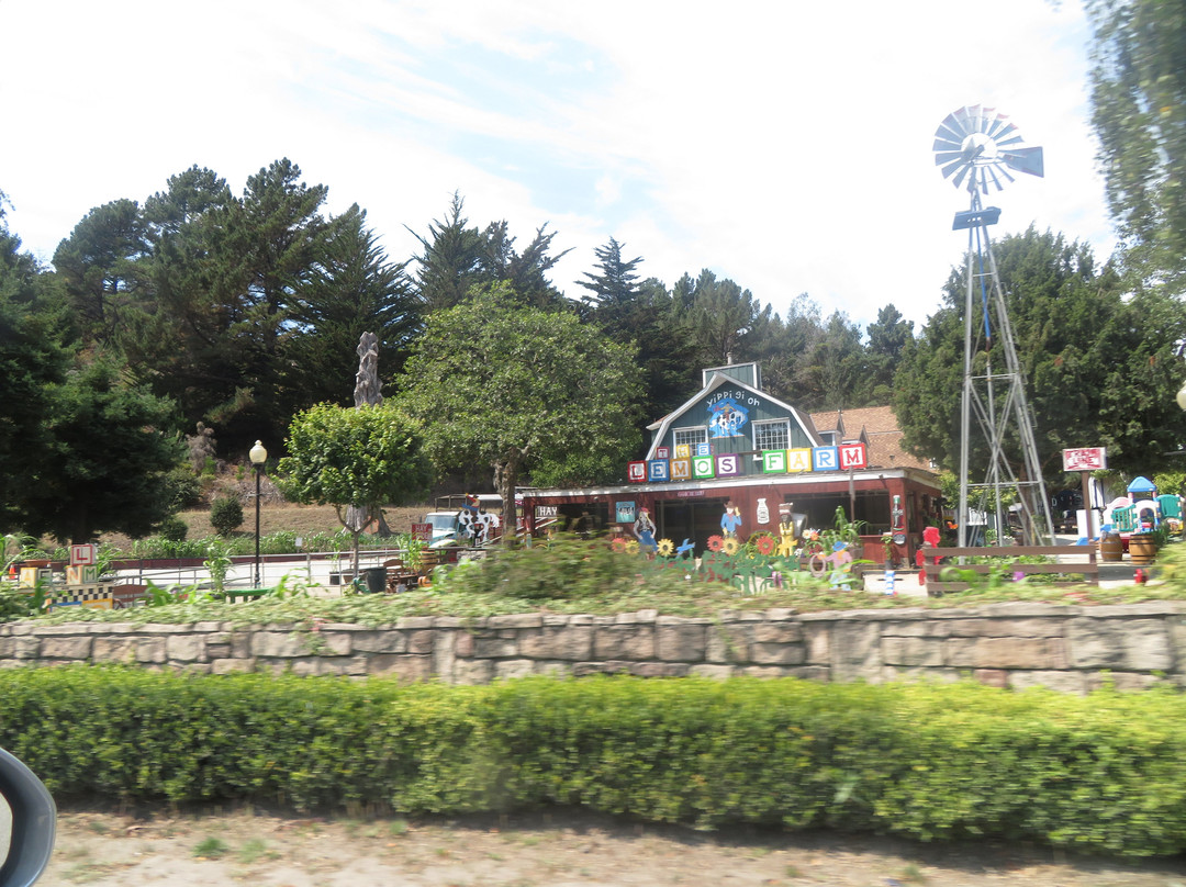 Lemos Farm景点图片