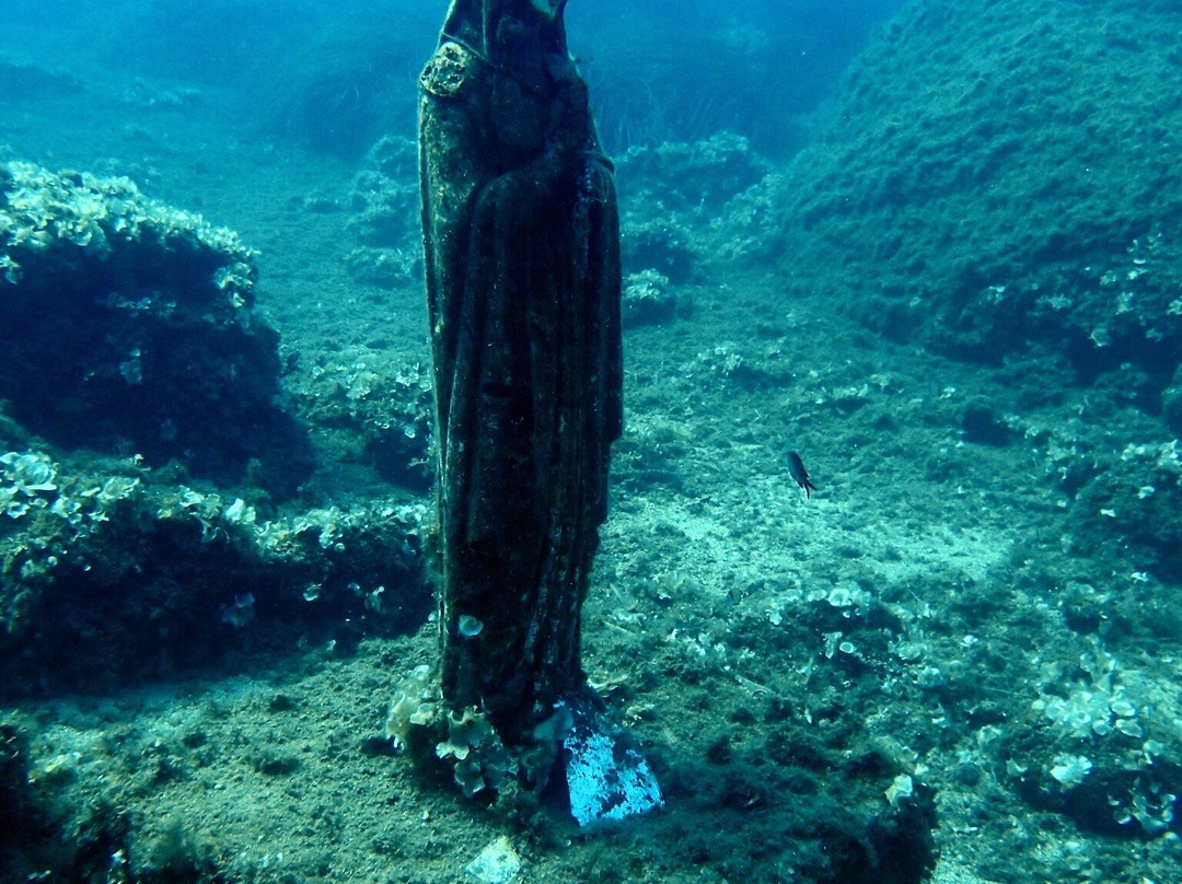 Spiro Sub Diving Elba景点图片