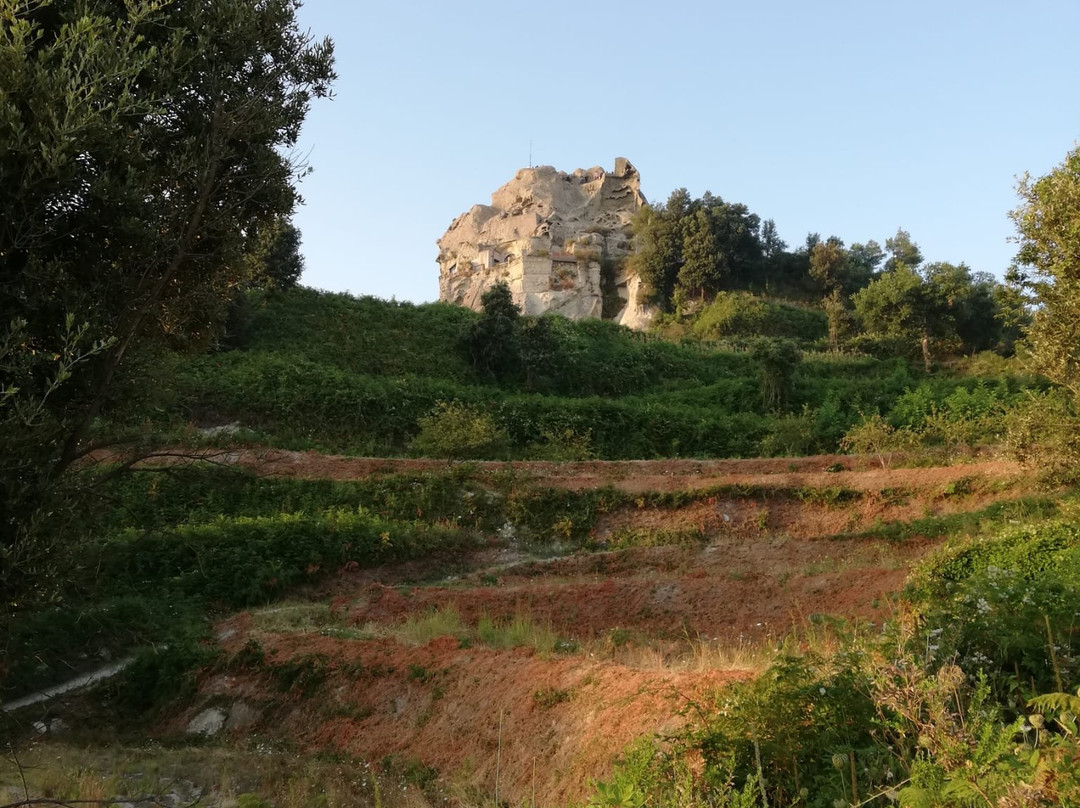 Associazione Nemo - mare, cultura, territorio景点图片