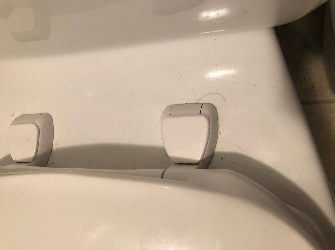 The Victorian Motel and RV Park主图