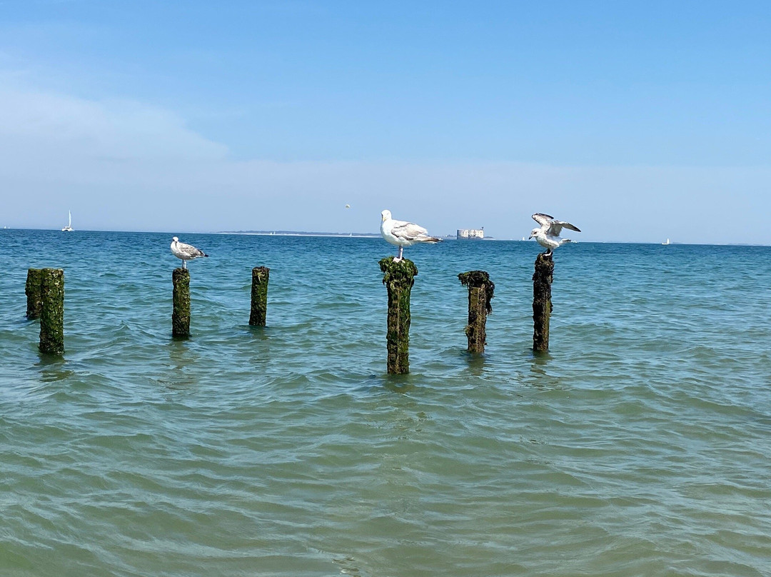 Saumonards Beach景点图片