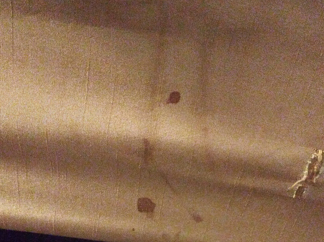 梅德福费尔菲尔德客栈&套房酒店主图