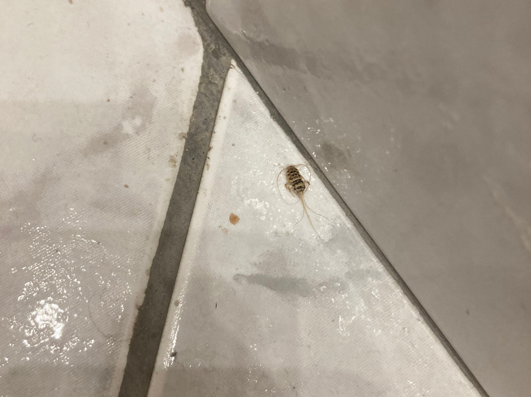 Minimal Culture主图