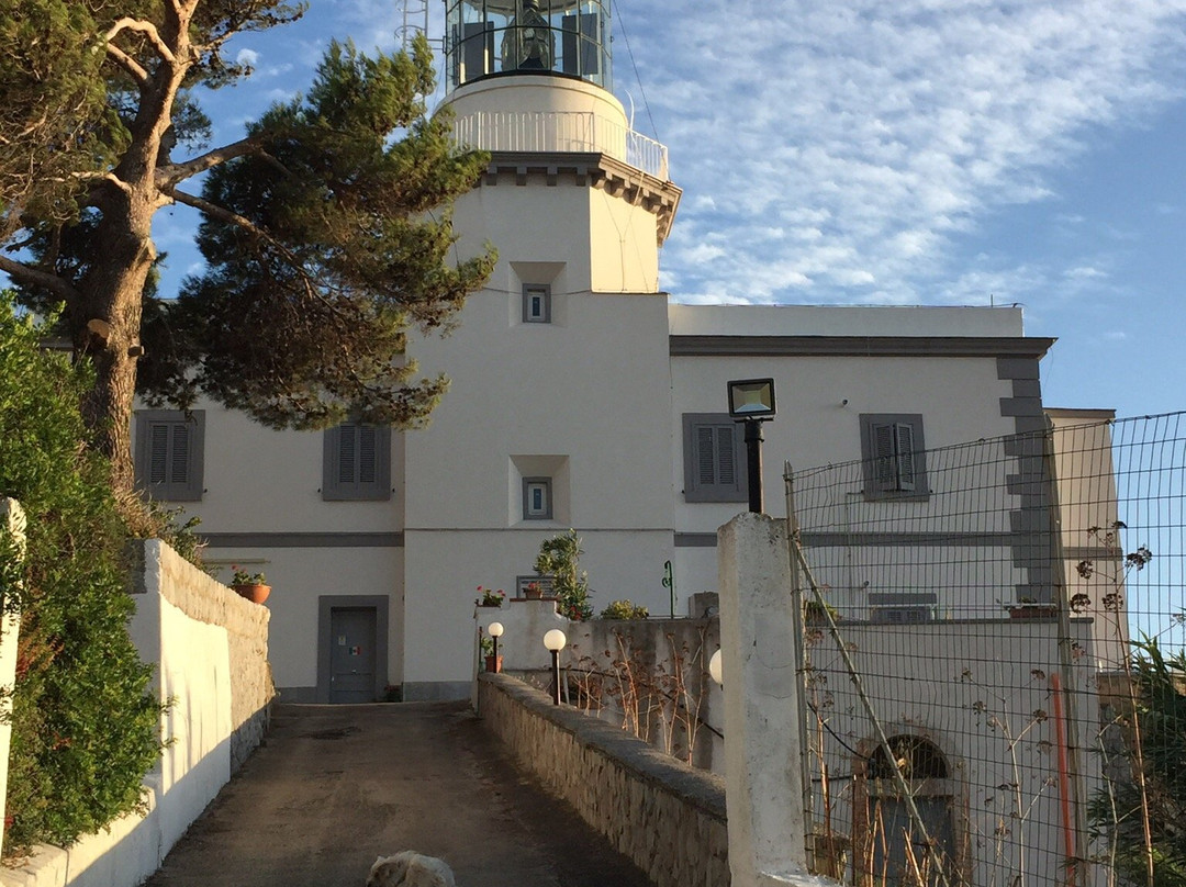 Capo Palinuro Faro景点图片