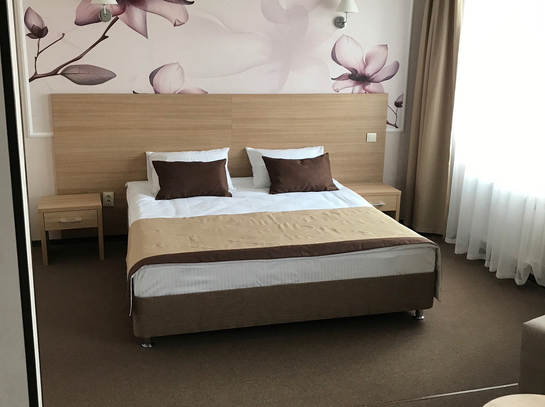 Vizit Hotel主图