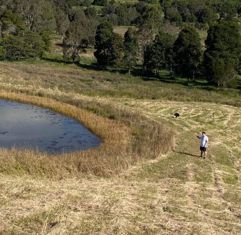 Tropical Coast Retreat - Pet Friendly主图