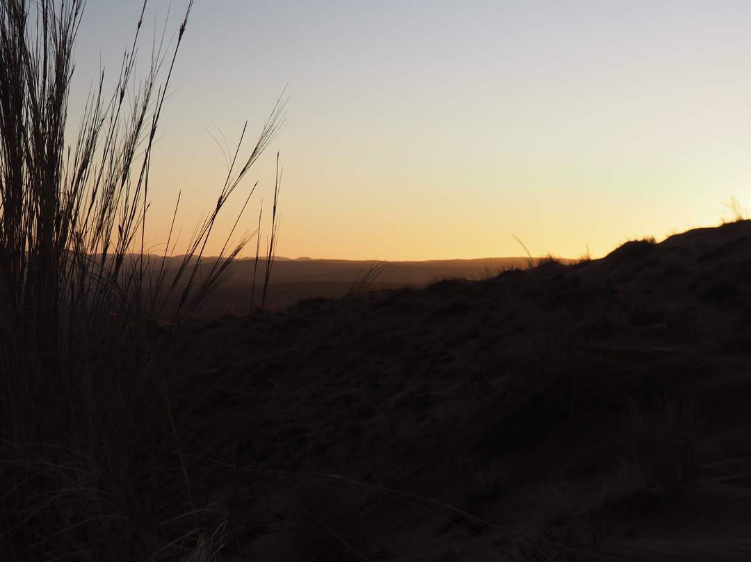 Elim Dunes-Namib-Naukluft Park必去景点