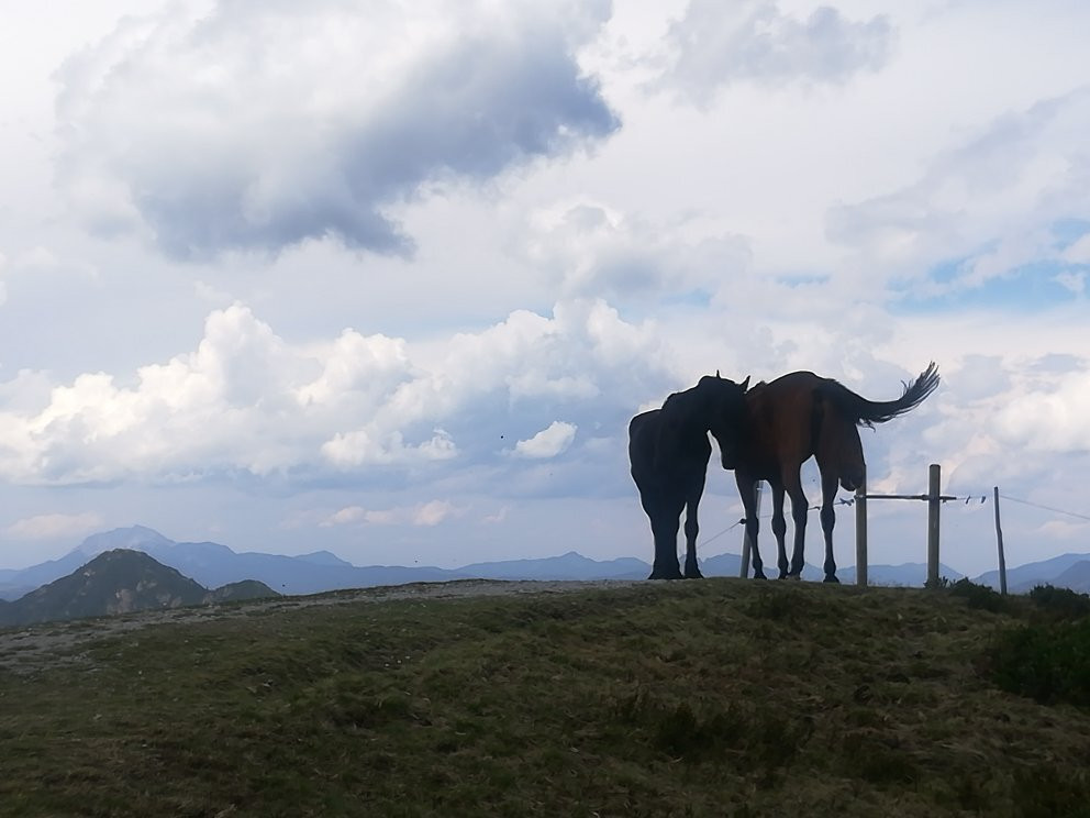 Ski Juwel-韦德修瑙必去景点