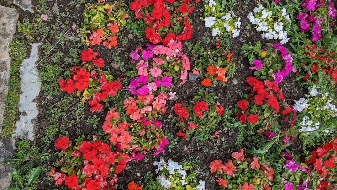 Orchard Gardens景点图片