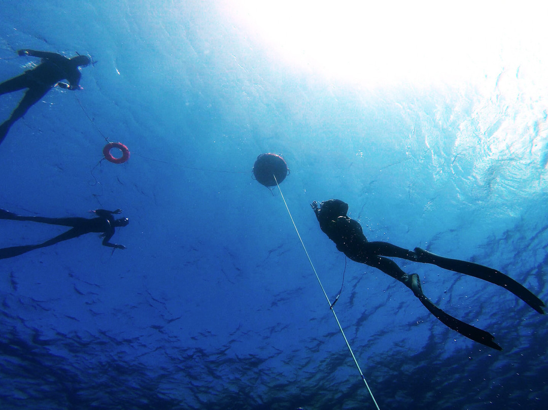 Amorgos Freediving Center-Aegiali必去景点