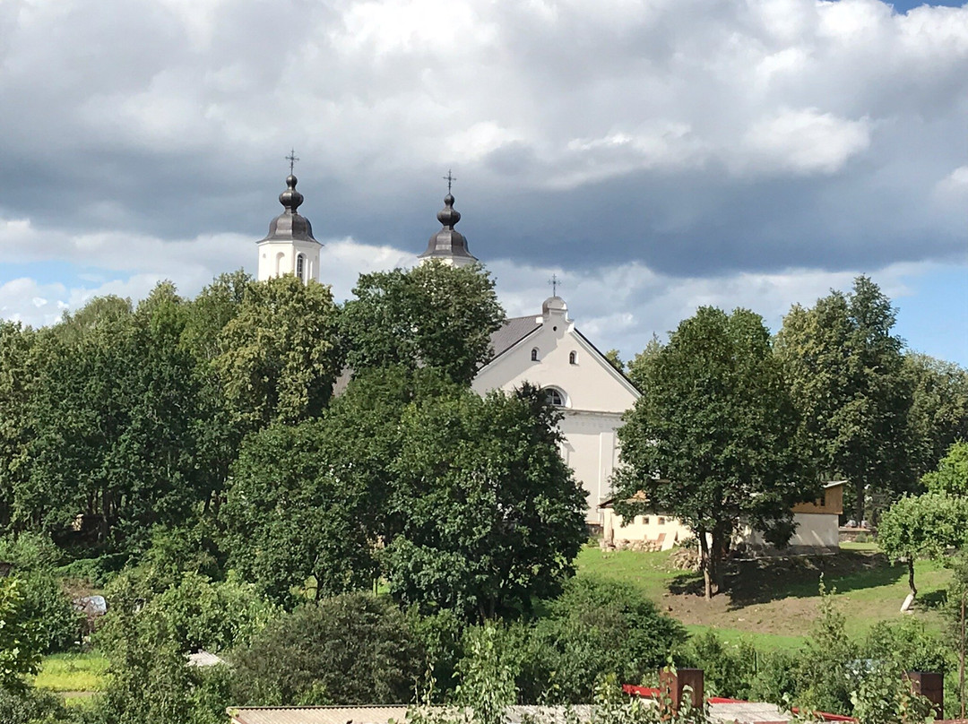 Catholic Church of the Assumption of the Blessed Virgin Mary-Zarasai必去景点