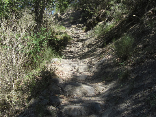 L'Ichtyosaure-La Robine-sur-Galabre必去景点