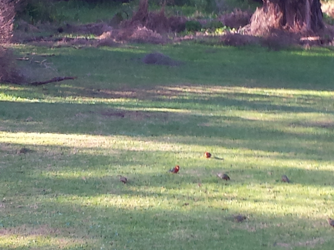 库拉布汽车旅馆主图