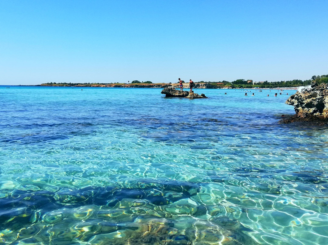 Futura Club Spiagge Bianche主图