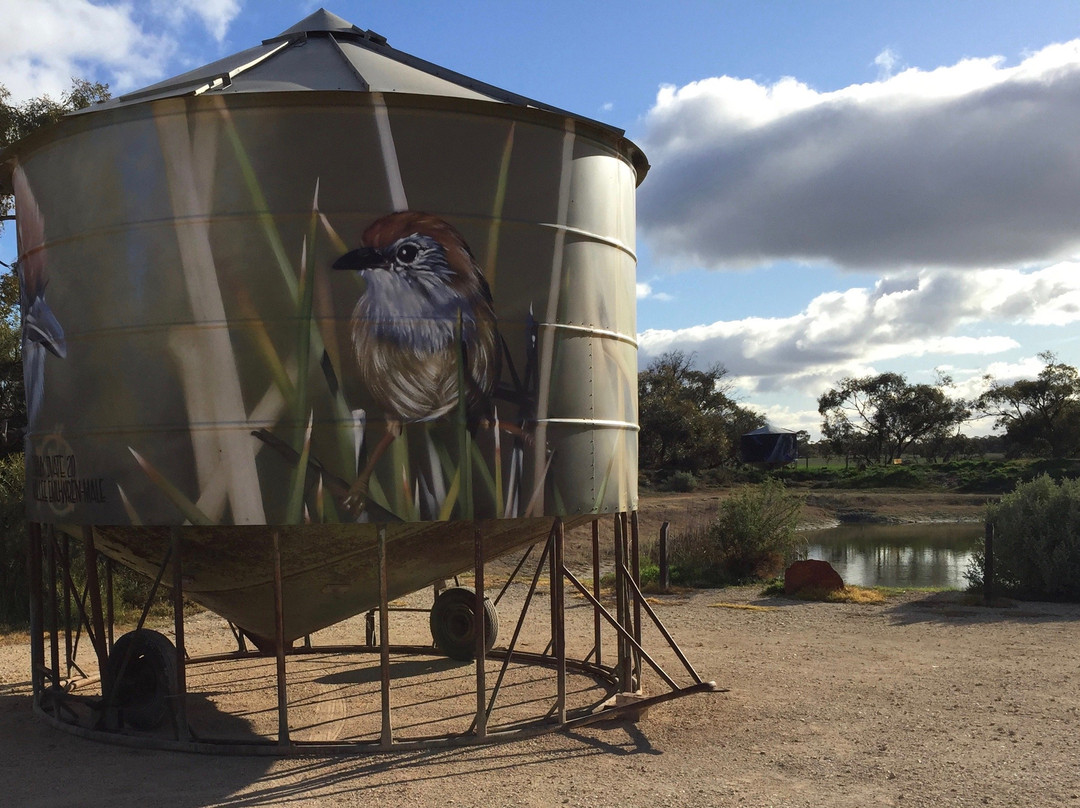 Cronomby Tanks-Lascelles必去景点