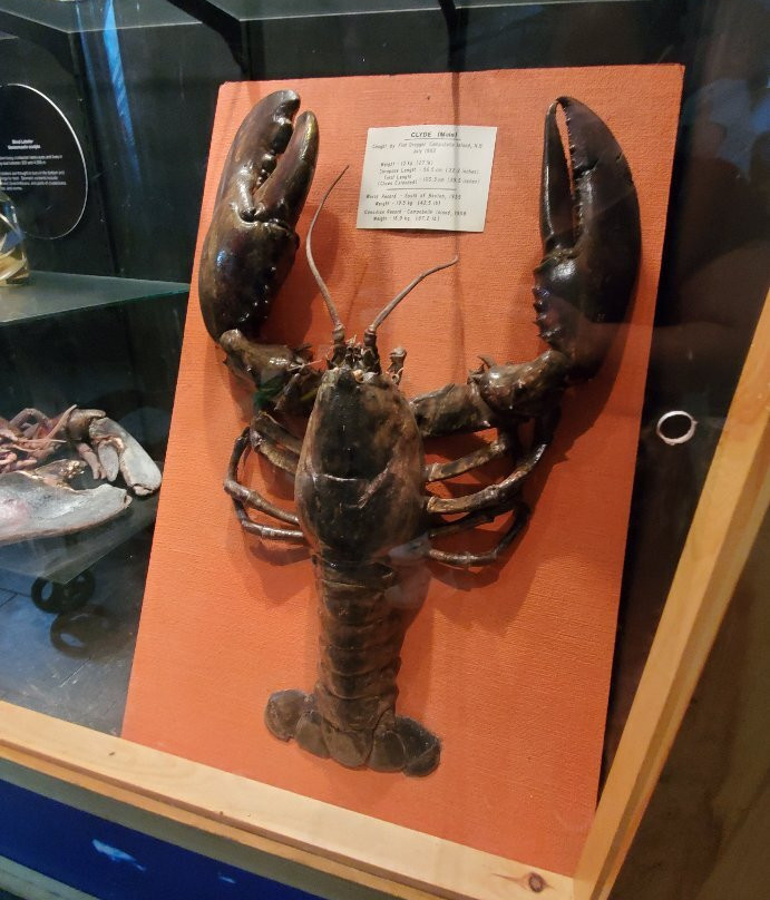 Huntsman Fundy Discovery Aquarium-Saint Andrews必去景点