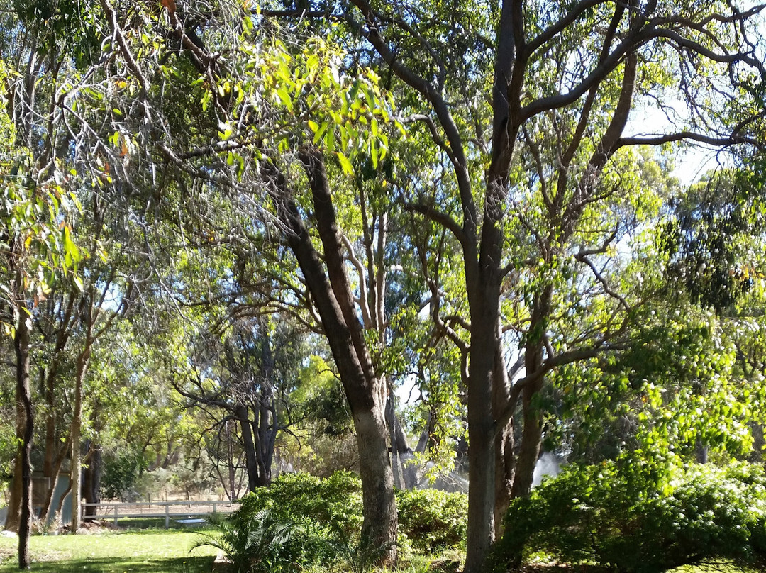 Devonleigh Bed & Breakfast主图