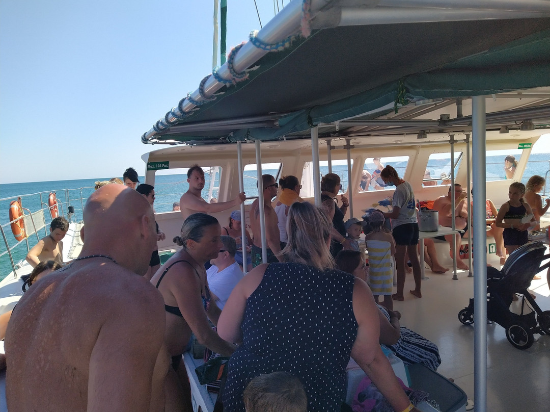 Catamaran Cruise景点图片