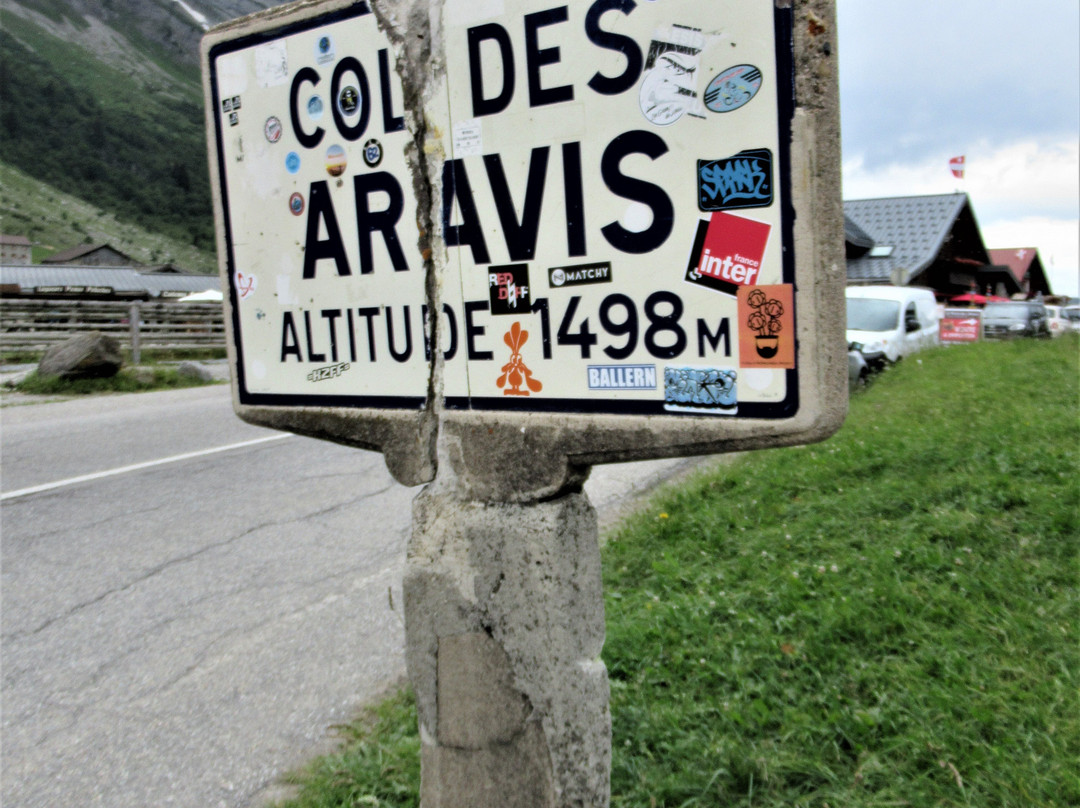 Col des Aravis景点图片