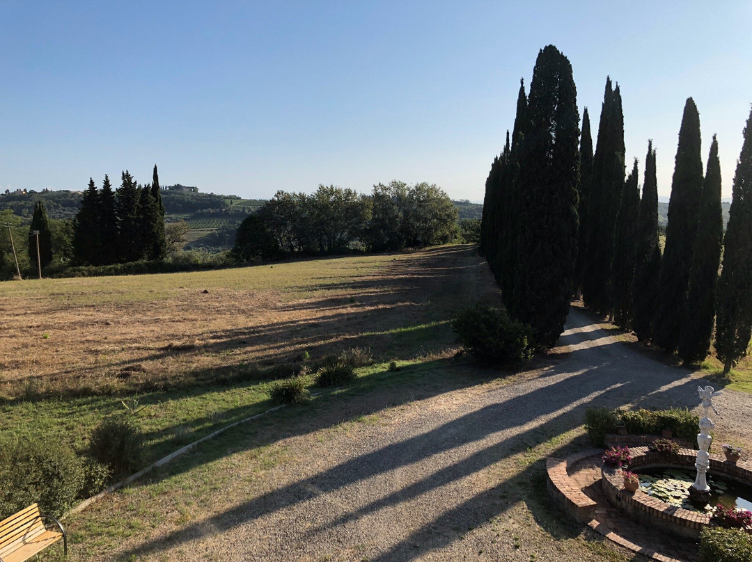 Villa Albertina主图