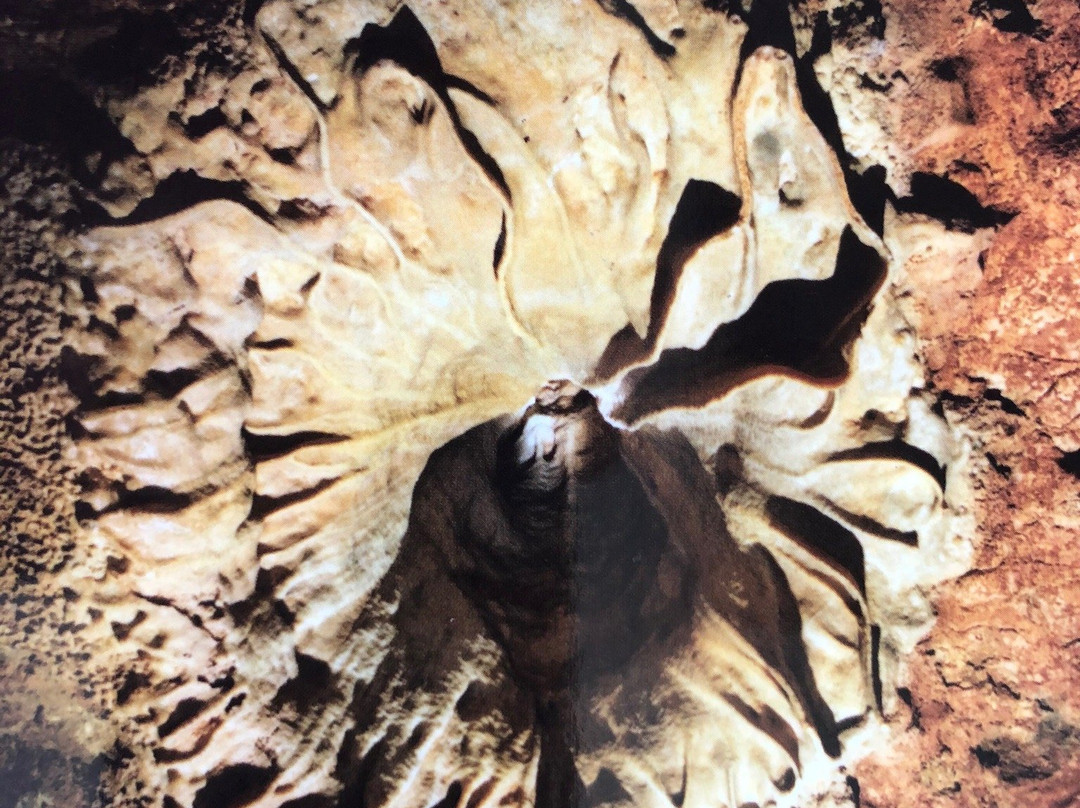 Cueva del Rull景点图片
