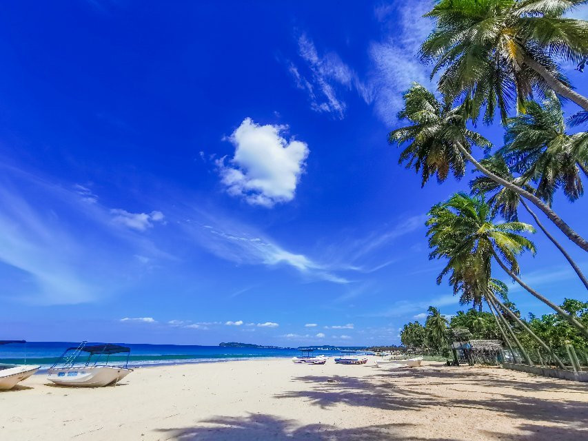 Scuba Safaris Trincomalee-Trincomalee必去景点