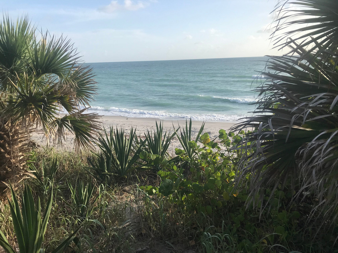 Manasota Beach Club主图