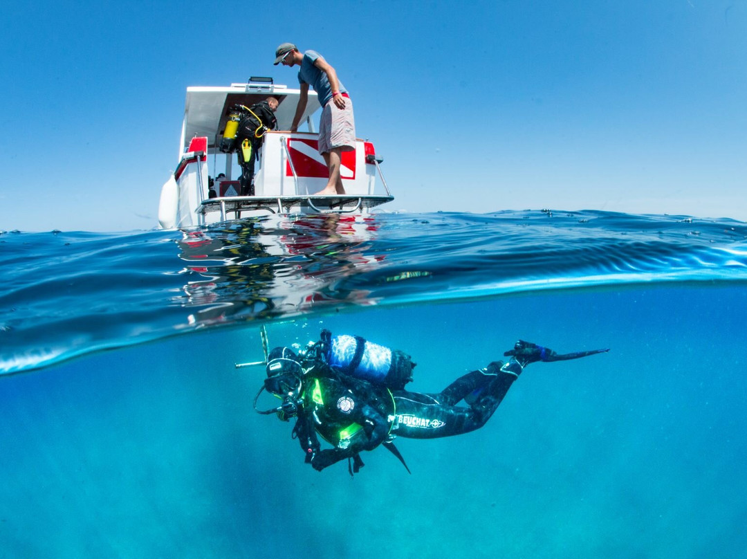 Aqualis Diving Center Hvar景点图片