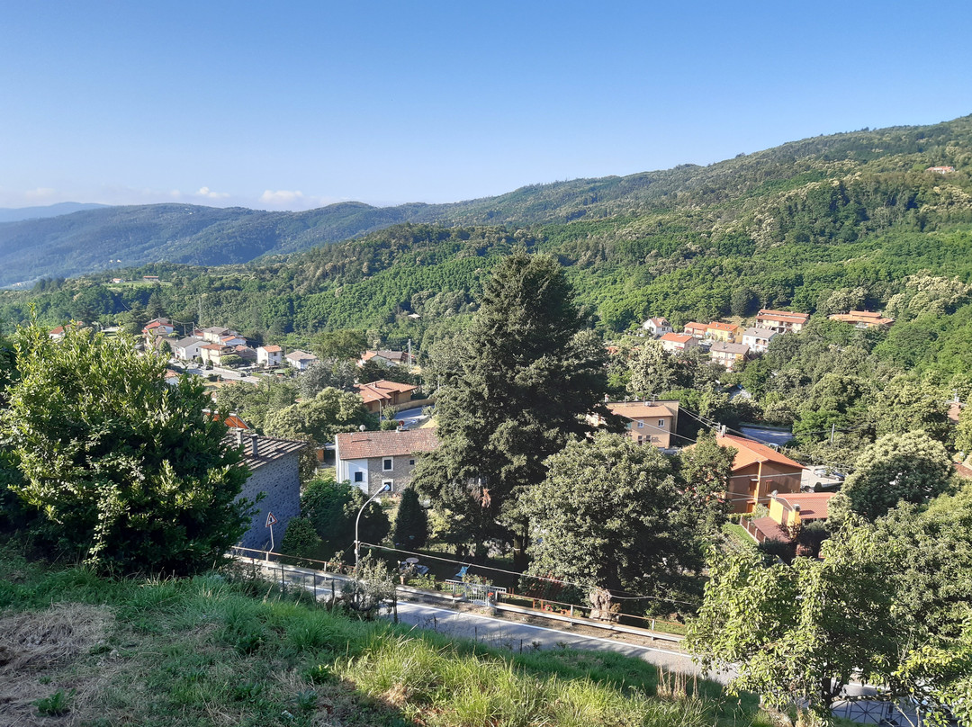 Chiesa di San Donato景点图片