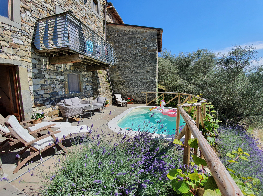 The Old Olive Press