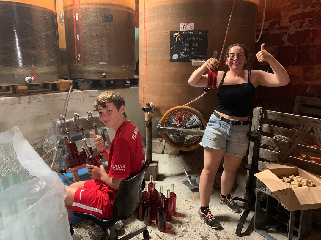 Domaine Claire Mayol景点图片