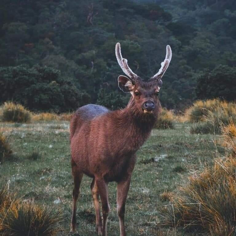 世界尽头-奴娃拉伊利雅必去景点