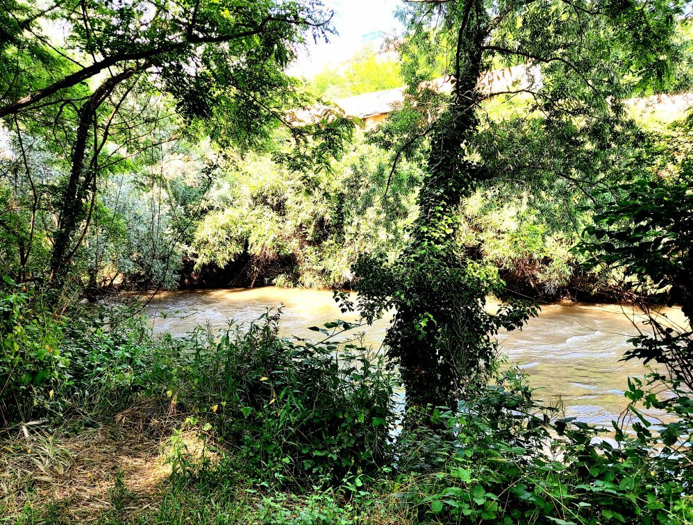 Parco Regionale Della Valle Del Lambro-Triuggio必去景点