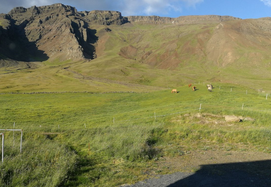 Hvammur 2 Guesthouse主图