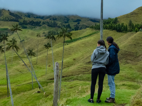 Montes Andinos-佩雷拉必去景点